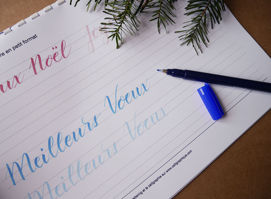 apprendre le brush lettering - entraînement - calligraphique