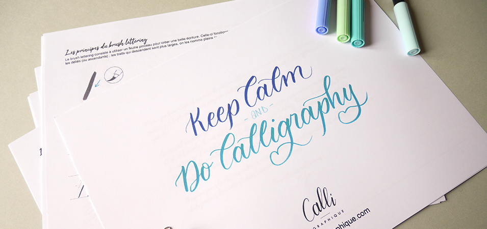 Guide de Calligraphie Moderne et Lettering pour débutants NLFBP
